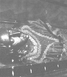 Венеция - это рыба i_041.jpg