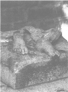 Венеция - это рыба i_006.jpg