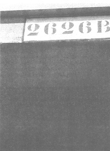 Венеция - это рыба i_007.jpg