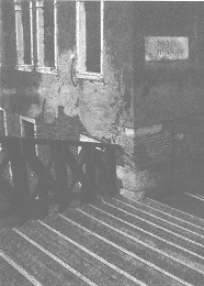 Венеция - это рыба i_059.jpg