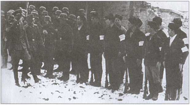 Крым под пятой Гитлера. Немецкая оккупационная политика в Крыму 1941-1944 гг. i_032.jpg