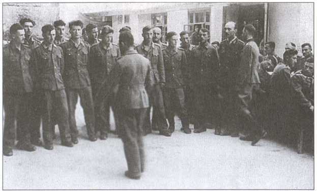 Крым под пятой Гитлера. Немецкая оккупационная политика в Крыму 1941-1944 гг. i_038.jpg