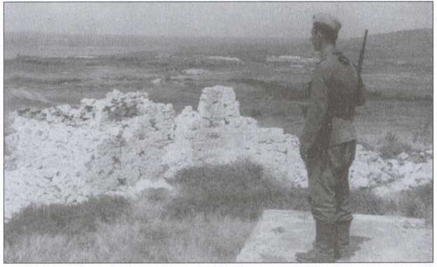 Крым под пятой Гитлера. Немецкая оккупационная политика в Крыму 1941-1944 гг. i_039.jpg
