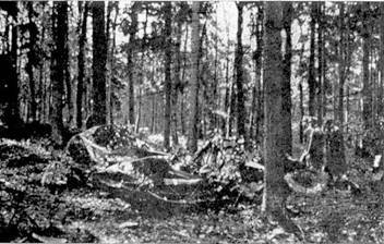 Асы Люфтваффе пилоты Bf 109 D/E 1939-41 pic_15.jpg