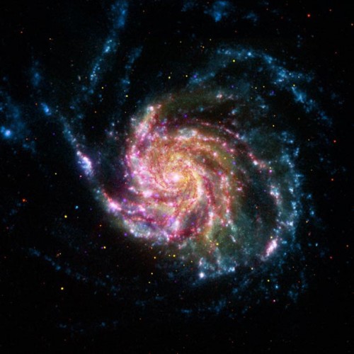 Сокровища звездного неба multiobservatory_m101500x500.jpg
