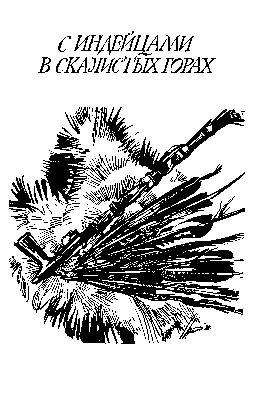 Ошибка Одинокого Бизона (сборник) (с илл.) pic_4.png