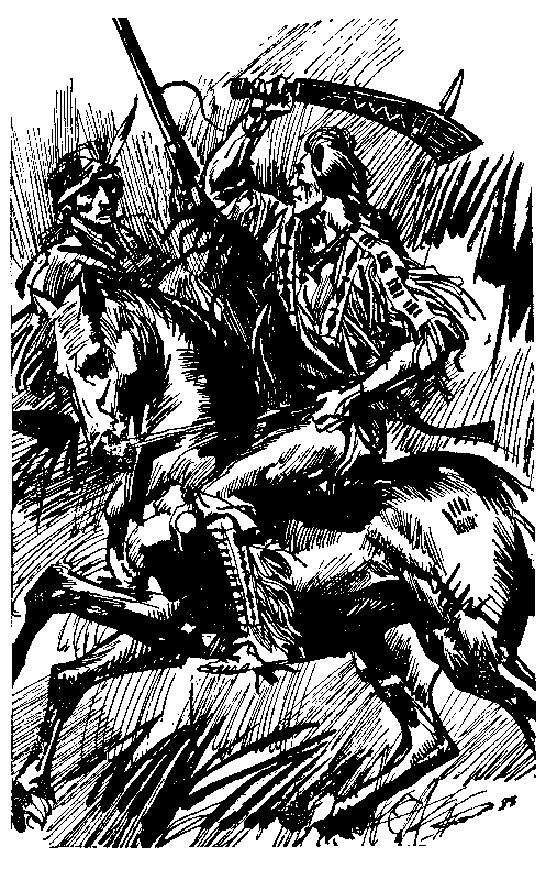Ошибка Одинокого Бизона (сборник) (с илл.) pic_14.png