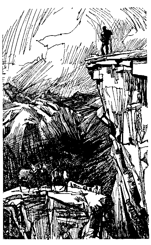 Ошибка Одинокого Бизона (сборник) (с илл.) pic_17.png
