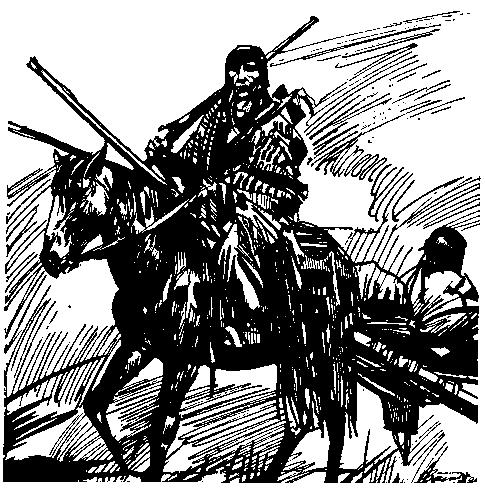Ошибка Одинокого Бизона (сборник) (с илл.) pic_21.png