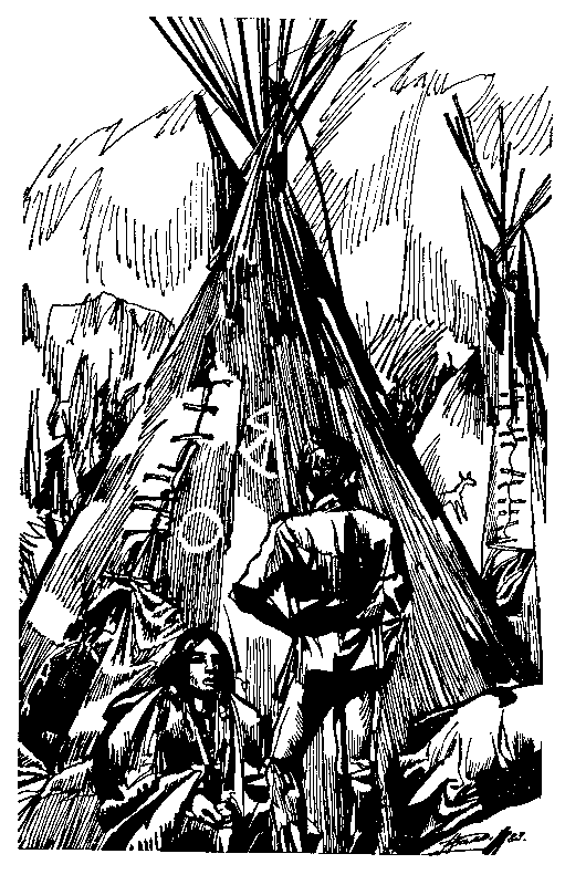Ошибка Одинокого Бизона (сборник) (с илл.) pic_8.png