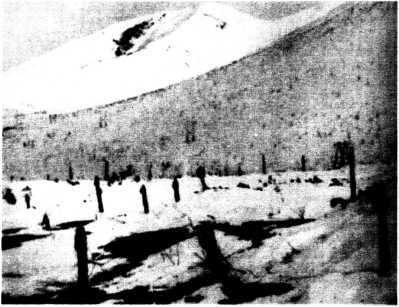 Век мой, зверь мой. Осип Мандельштам. Биография i_091.jpg