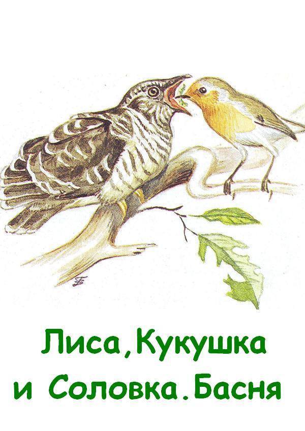 Лиса, Кукушка и Соловка Kuk.JPG