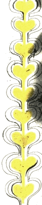 Битвы по средам i_038.png
