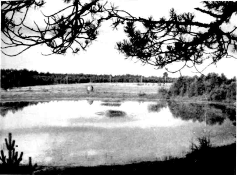От Белого моря до Черного img_22.jpeg