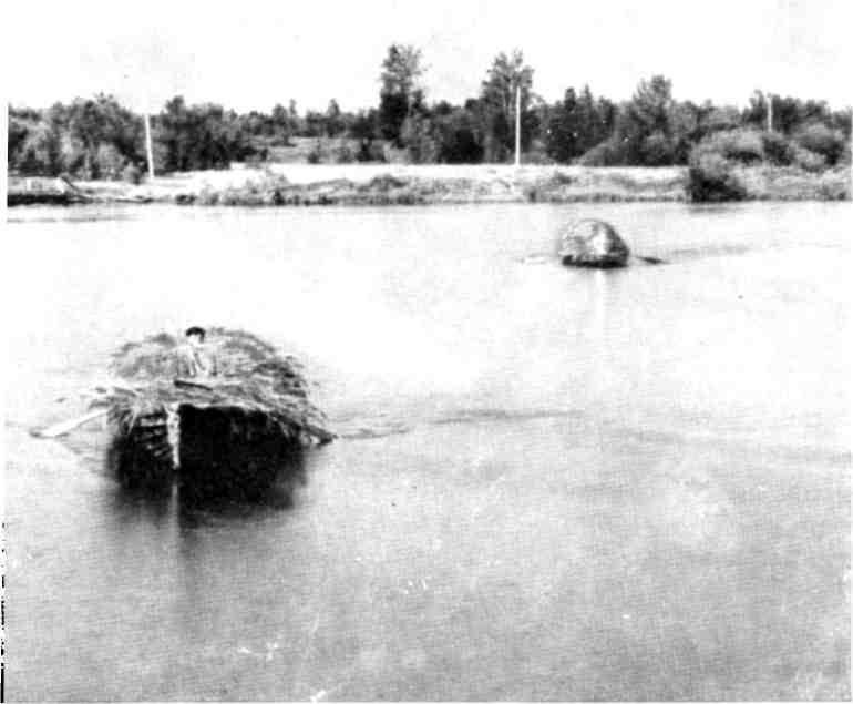 От Белого моря до Черного img_31.jpeg