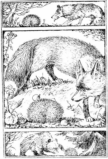 Донские сказки i_009.png