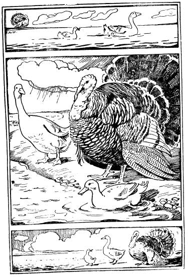 Донские сказки i_011.png