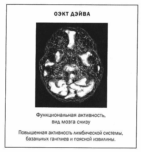 Мозг и душа _22.jpg