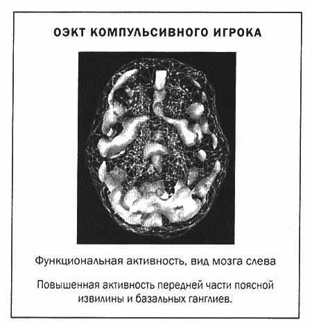 Мозг и душа _23.jpg