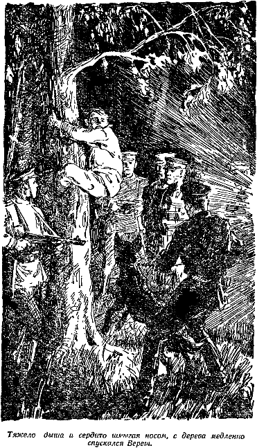 Что происходит в тишине (сборник) img_33.png