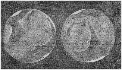 Острова эфирного океана i_008.jpg