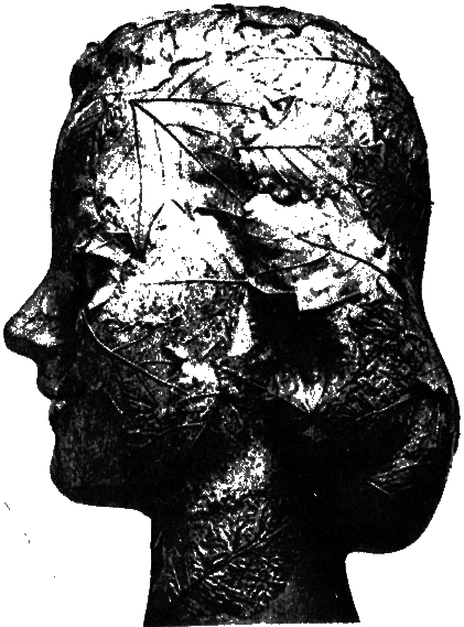 Звери = боги = люди i_010.png