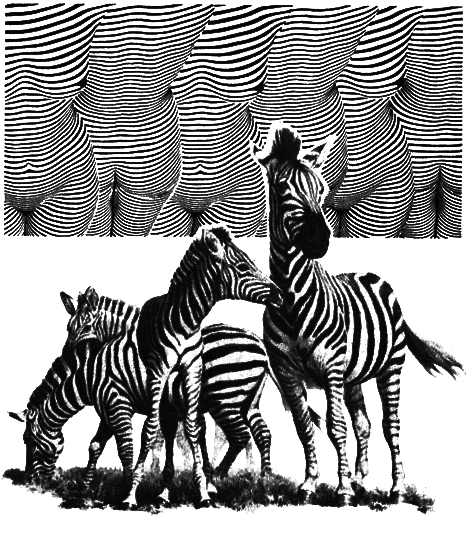 Звери = боги = люди i_004.png