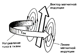 Найдутся ли ответы? i_006.png