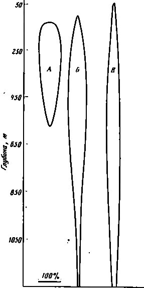 Акулы. Мифы и реальность image14.png