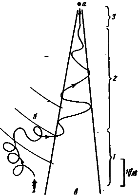 Акулы. Мифы и реальность image27.png