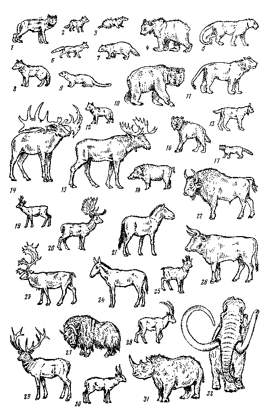 Древнее оледенение и жизнь img_27.png