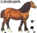 Домашние животные i_144.jpg