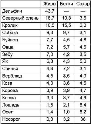 Домашние животные i_186.png