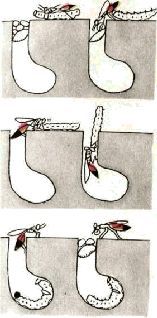 Насекомые. Пауки i_258.jpg