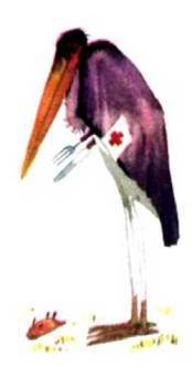 Птицы i_109.jpg