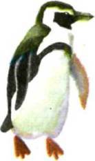 Птицы i_015.jpg