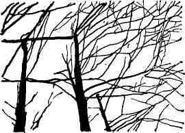 Хранитель времени img_21.jpeg