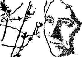 Хранитель времени img_38.jpeg