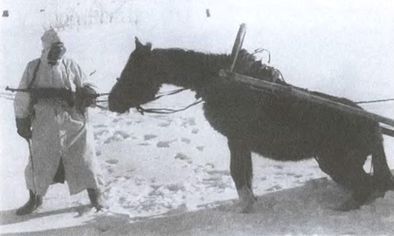 Котел смерти в Курляндии. Хроника сражений группы армий «Север». 1944–1945 i_072.jpg