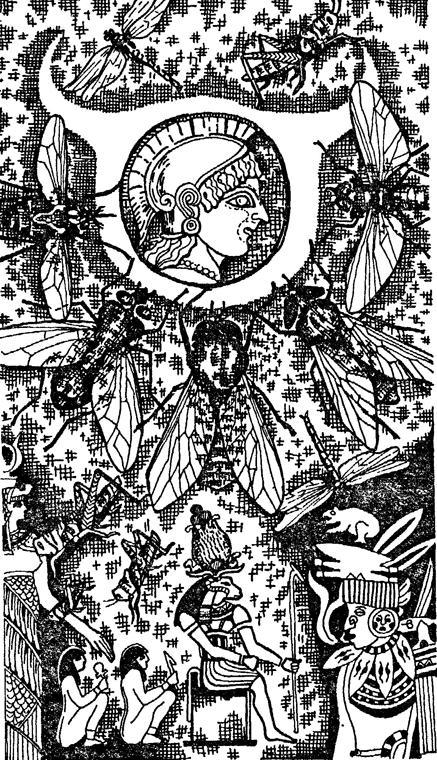 Столкновение миров img1256.jpg