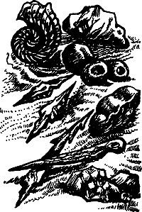Каменный век i_116.png