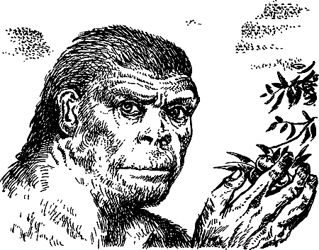 Каменный век i_120.png