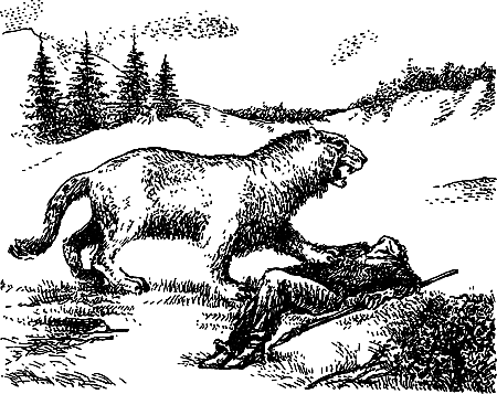 Каменный век i_130.png