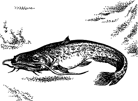Каменный век i_136.png