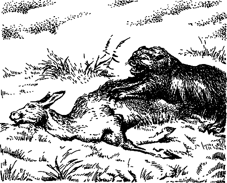 Каменный век i_040.png