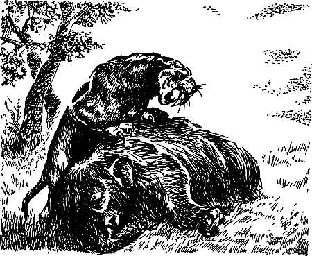 Каменный век i_056.png