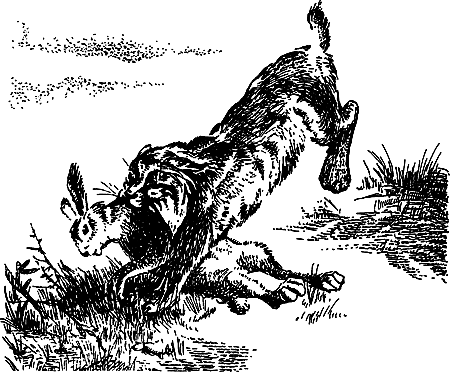 Каменный век i_057.png