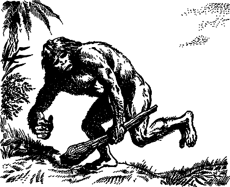 Каменный век i_013.png