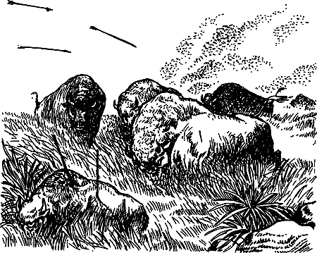 Каменный век i_077.png