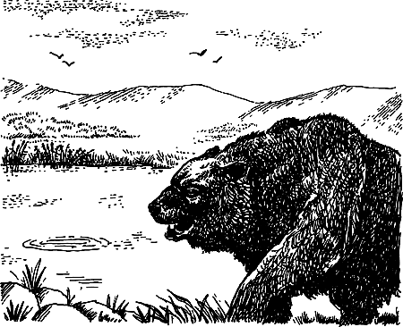 Каменный век i_090.png